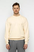 Vyriškas organinės medvilnės džemperis